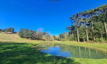 Imagem 5: Terreno Arcoverde Carlos Barbosa