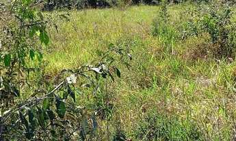 Imagem 7: Chácara 2 he em Alexania GO