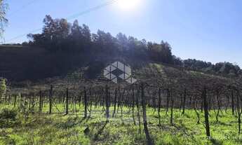 Imagem 4: Venda Imperdível: Terreno Rural de 2,4 Hectares!