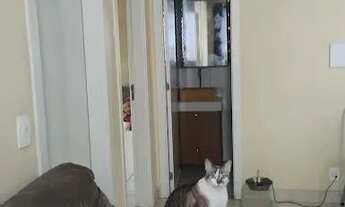 Imagem 6: Apartamento com 2 dormitórios para alugar - Vila Nhocune - São Paulo/SP