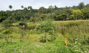 Imagem 3: Chacara com lagoa em betim