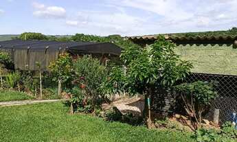 Imagem 5: Chácara 1300 metros - 220 mil