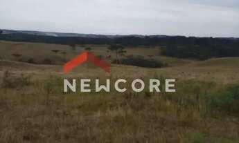 Imagem 7: Lote em Est Lageado Grande - Lageado Grande - São Francisco de Paula/RS