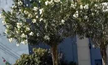 Imagem 6: MINI APARTAMENTO MOBILIADO P/ MÍNIMO 3 DIÁRIAS OU ALUGUEL ANUAL (leia descrição abaixo