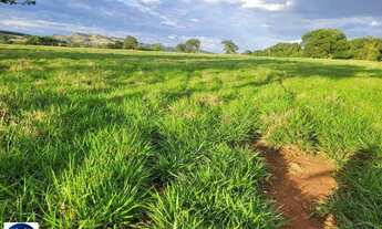Imagem: Fazenda à Venda em Itaguari - Goiás