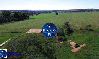 Imagem 5: Fazenda à Venda em Cezarina 20 Alqueires Produtivos, Próxima a Goiânia