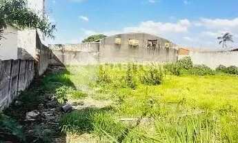 Imagem 3: Aluguel Área TUBALINA