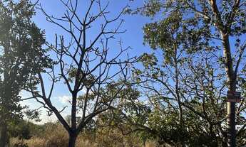 Imagem 7: área 100x50 próximo de tudo em caldas novas Goiás