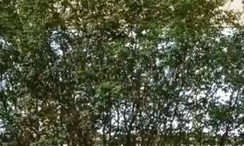 Imagem 6: Lotem em Condominio Plateau Dor Unique, Parque Cidade - Goiânia - GO