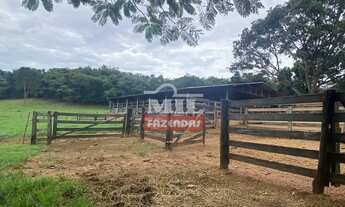 Imagem 6: FAZENDA A VENDA 32 ALQUEIRES (154,88 HA) EM CALDAS NOVAS - GO
