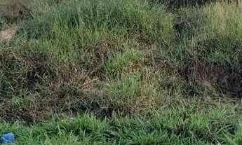 Imagem 4: Lote em Rua Escritor João Cabral de Melo Neto - Belvedere - Ribeirão das Neves/MG