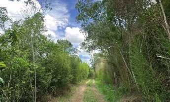 Imagem 5: Invista em Ibiuna: Região em Expansão com Garantia de Retorno! Perto da Rota do Vinho!