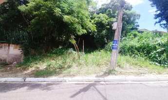 Imagem 4: Terreno Bem Localizado no Bairro Quilombo