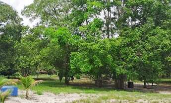 Imagem 4: Sítio no Km 48 da Estrada de Novo Airão - AM, com 175.000 m2