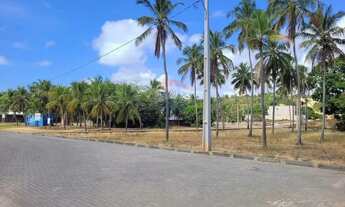 Imagem 4: Terreno em Maragogi: Investimento Imperdível!