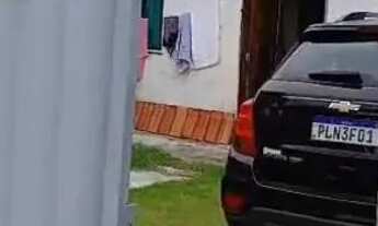 Imagem: Subauma - linha verde