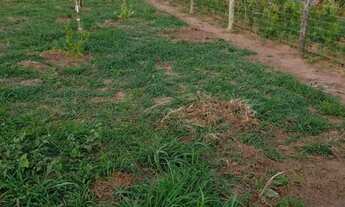 Imagem 2: Terreno de chácara nós pires de cima Limeira _SP