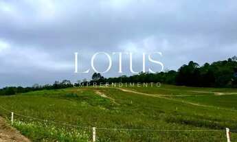 Imagem 6: Invista em Cotia:Terrenos com Preços ótimos