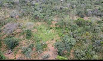 Imagem 2: Lote Colombo Segueira