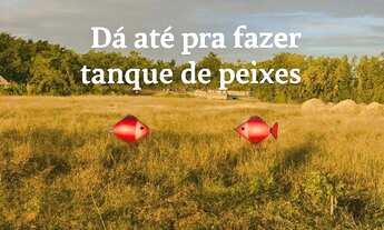 Imagem: GUARAPARI LOTES COM NASCENTE BALNEÁRIO