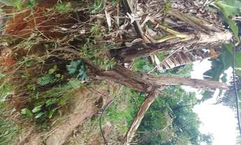 Imagem: Vende-se casa com terreno tem escritura