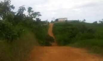 Imagem 4: Vendo terreno no horto