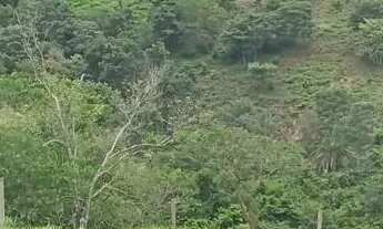 Imagem 5: Chácara de 7 Alqueires em Heitoraí-GO