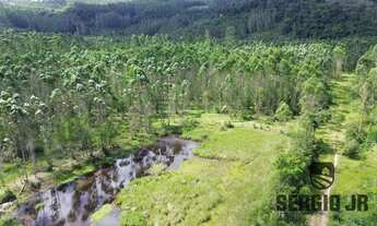 Imagem 2: Área de terra com 33,6ha em Montenegro