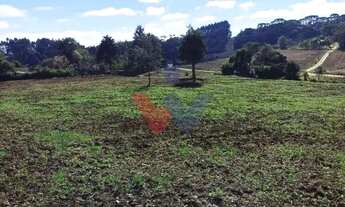 Imagem 3: Terreno Rural em Campo Magro 24.080 m , Plano e Limpo, Aceita Permuta