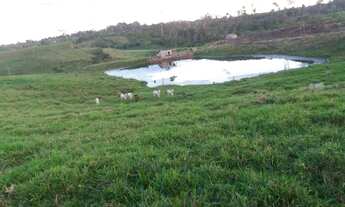 Imagem 3: Vende-se uma linda fazenda