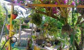 Imagem 6: Chacara c/ beira de rio - Bairro Espigão do Pacova - Itapeva/SP