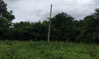 Imagem 4: Terreno no lago de acajatuba de frete para o Rio Negro