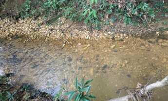 Imagem: Lugar super tranqüilo, chácara de 4 mil