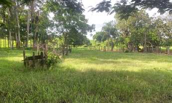 Imagem 5: Sítio de 5 alqueires em Iporá Goiás