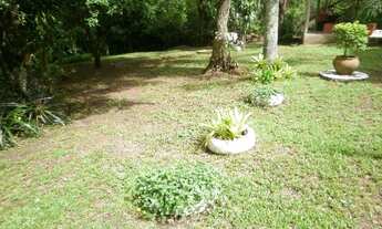 Imagem 2: Porto Alegre - Sítio - Lami