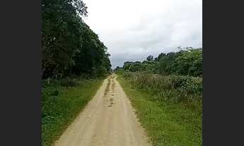 Imagem: Vendo terreno para mini chácara em área