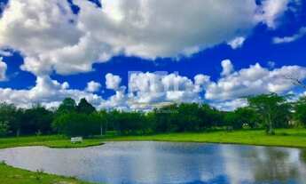 Imagem 5: Porto Alegre - Sítio - Lami