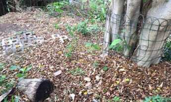 Imagem 6: Terreno em ótima localização. Confira!