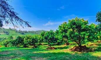 Imagem 5: SÍTIO - MORRO DAS PEDRAS - SP