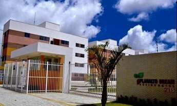 Imagem 2: Repasso Apartamento no Planalto de 3/4 80 mil