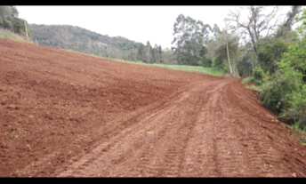 Imagem 2: Excelente área de terra..