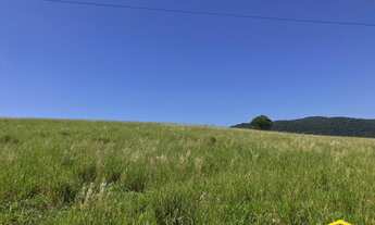 Imagem 2: Fazenda/Sítio/Chácara para venda com 20000 metros quadrados em Lomba Grande - Novo Hamburg