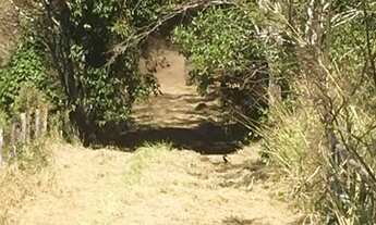 Imagem: Sitio 7.5 alqueires com 5.5 em cana, bem