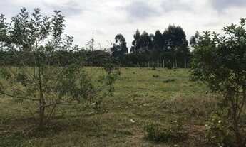 Imagem 4: Vendo chácara em gravatai