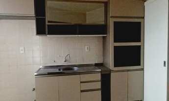 Imagem 5: FLORIANóPOLIS - Padrão - Agronômica