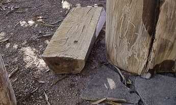 Imagem 6: VENDO ou troco Chácara com venda com preço sob consulta