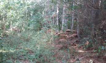 Imagem 6: Porto Alegre - Terreno Padrão - Ponta Grossa