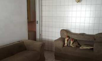 Imagem: CASA TÉRREA - TATUAPÉ - SP