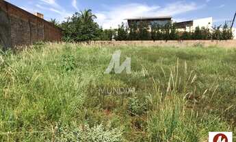 Imagem 4: Terreno (terreno normal