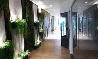 Imagem 6: COMERCIAL - PARAÍSO - SP